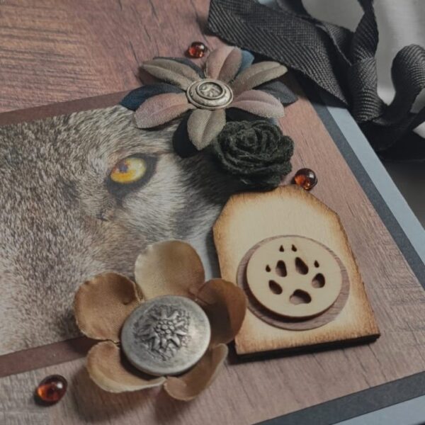 Album photos « Loup » – Image 3