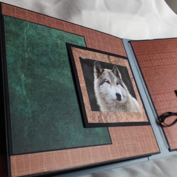Album photos « Loup » – Image 2