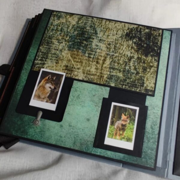 Album photos « Loup » – Image 4