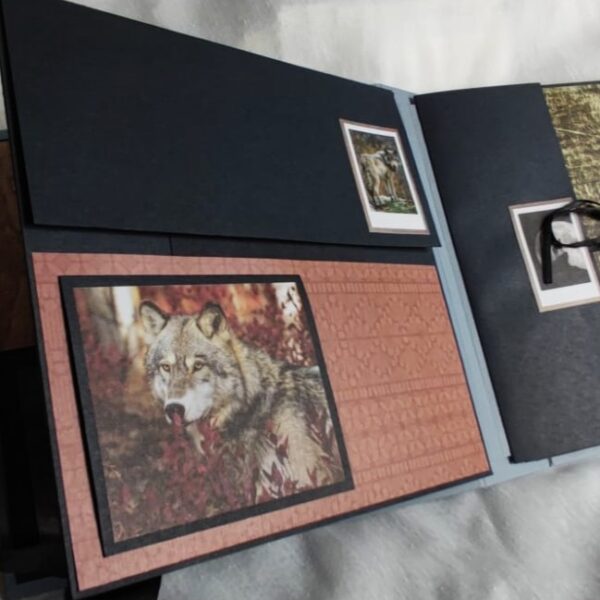 Album photos « Loup » – Image 6
