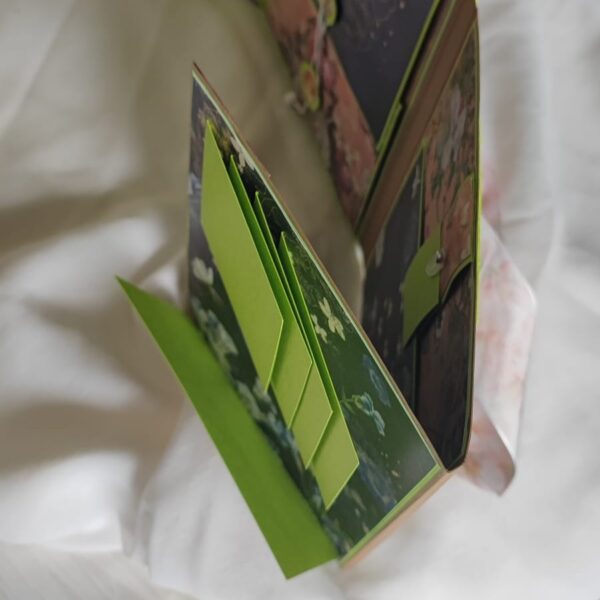 Album photos « La Vallée Fleurie  » – Image 2
